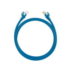 DS-1NP6UEC0/BLUE(0.5m)