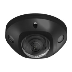 DS-2CD2543G2-IS(BLACK) (2.8mm)