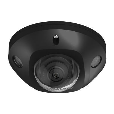 DS-2CD2543G2-IS(BLACK) (2.8mm) DS-2CD2543G2-IS(BLACK) (2.8mm)